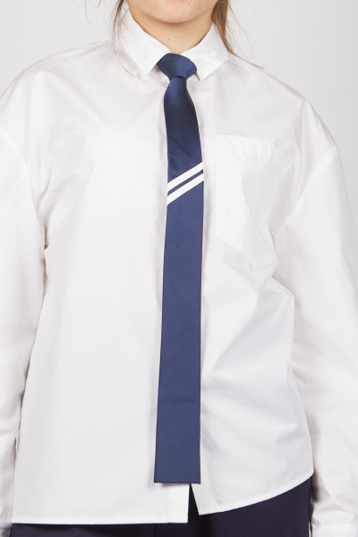 Галстук A-NT55576 (Синий, Унив.)