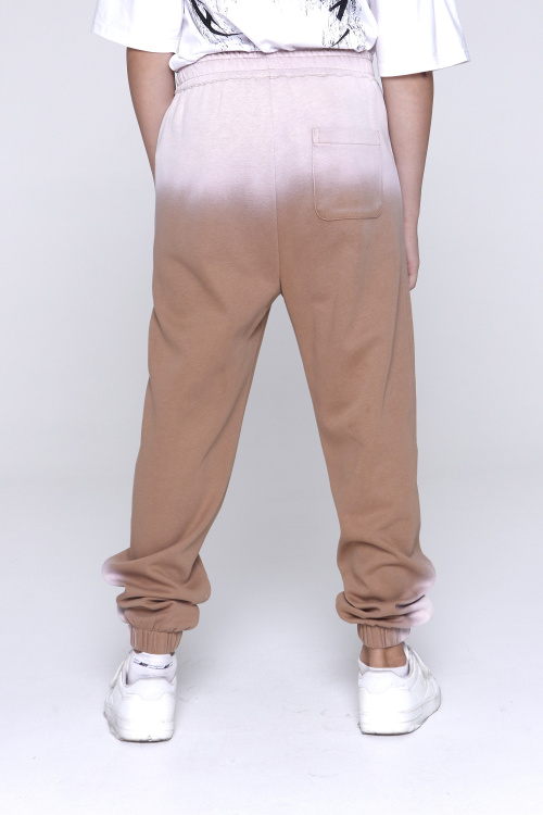 Брюки B-TR35113 (темно-бежевый, 164)