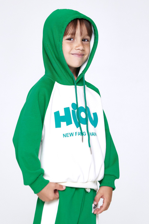 Худи G-HD25004 (Зеленый, 104-128)