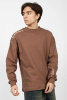 фуфайка B-SW34603 (Коричневый, 146)