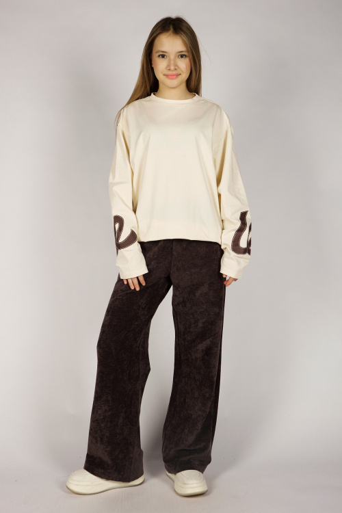 Брюки G-TR26472 Miasin (коричневый, 134-164)