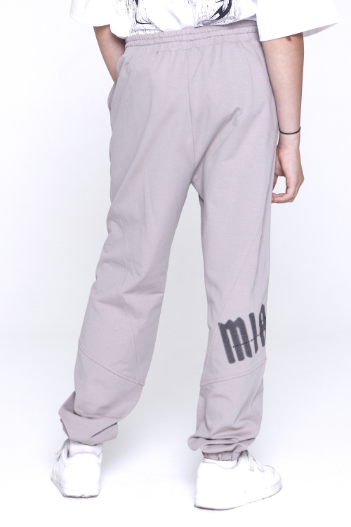 Брюки B-TR35047 (серый, 170)