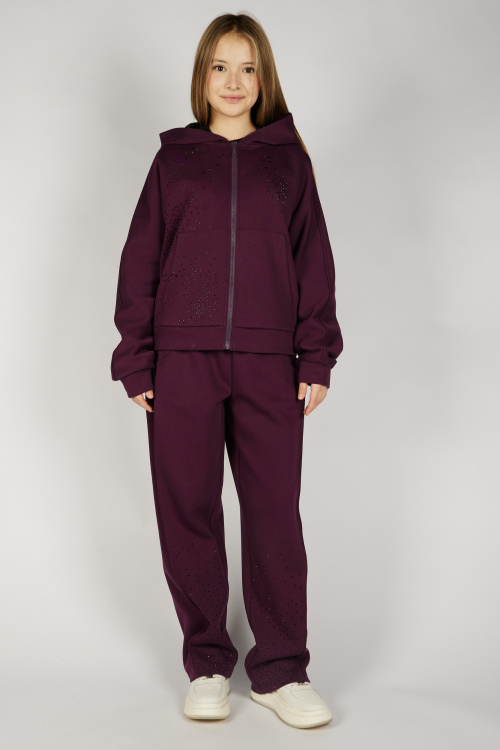 Брюки G-TR26455 Miasin (темно-фиолетовый, 134-164)