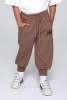 Брюки B-TR35007 (коричневый, 134)