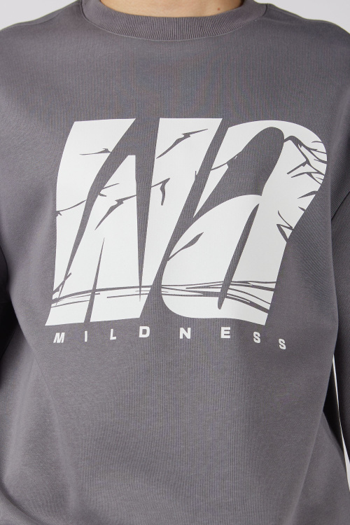 джемпер B-SW35403 Miasin (Серый, 140)