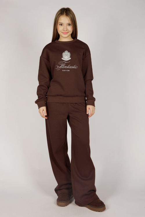 Брюки G-TR26470 Miasin (коричневый, 134-164)